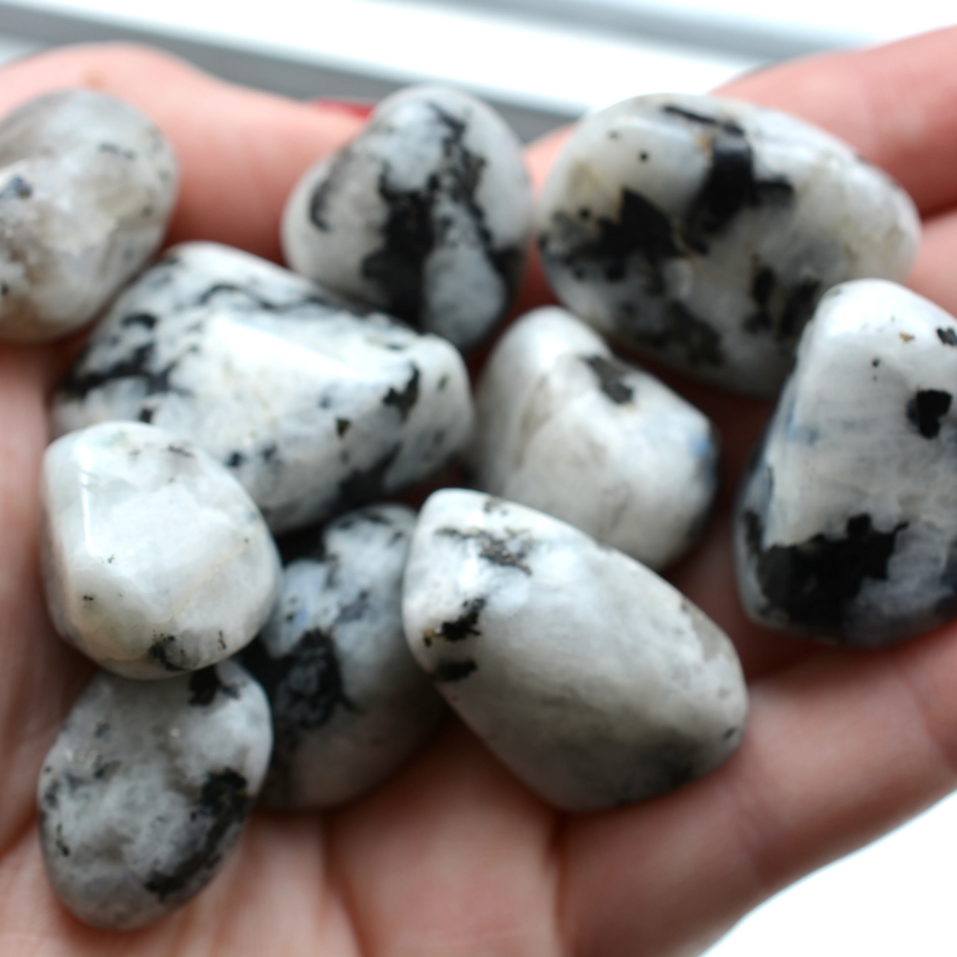 Rainbow Moonstone Tumbles - Image 3