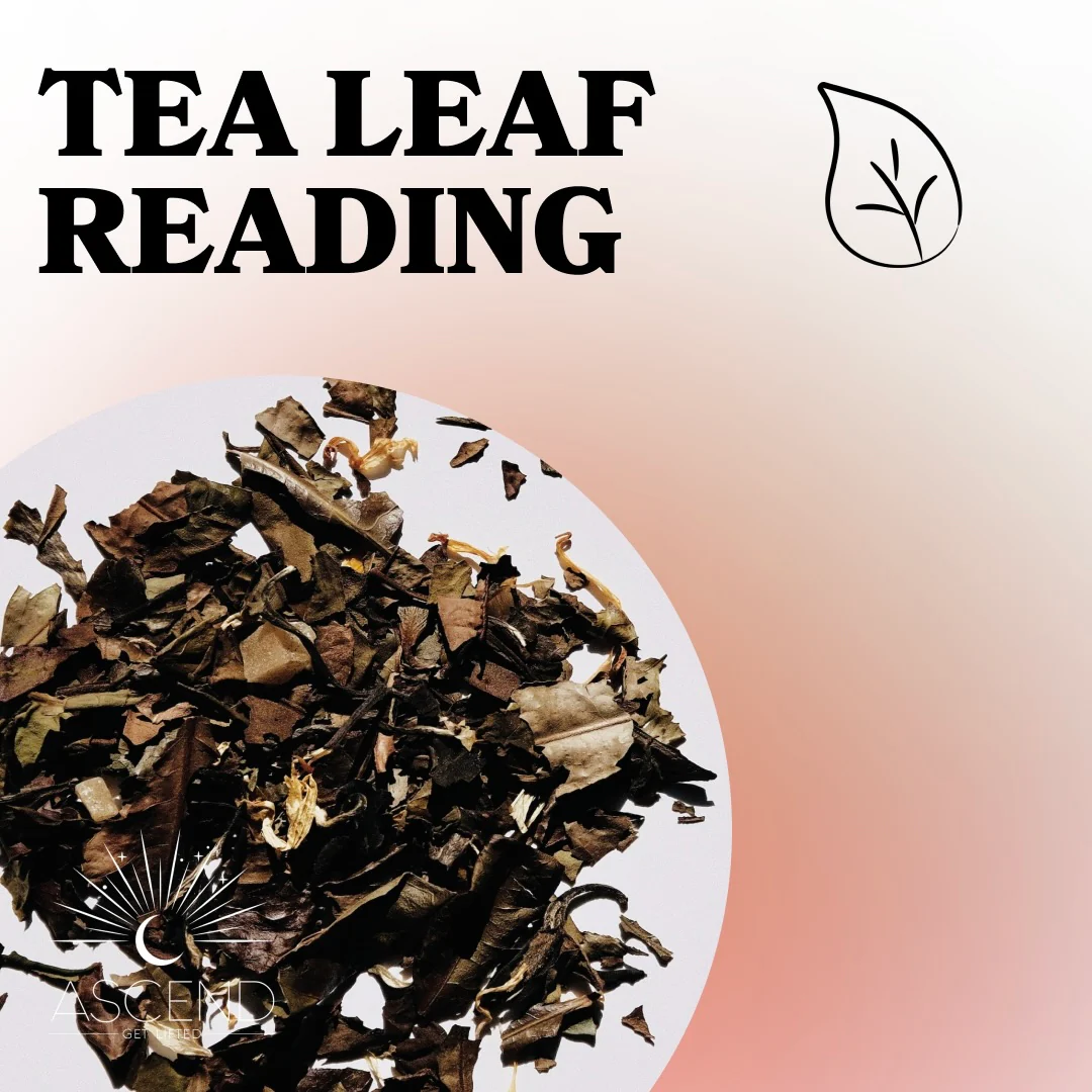 Premium Readings - Tea Leaf, Palmistry, & Past Life - Image 5