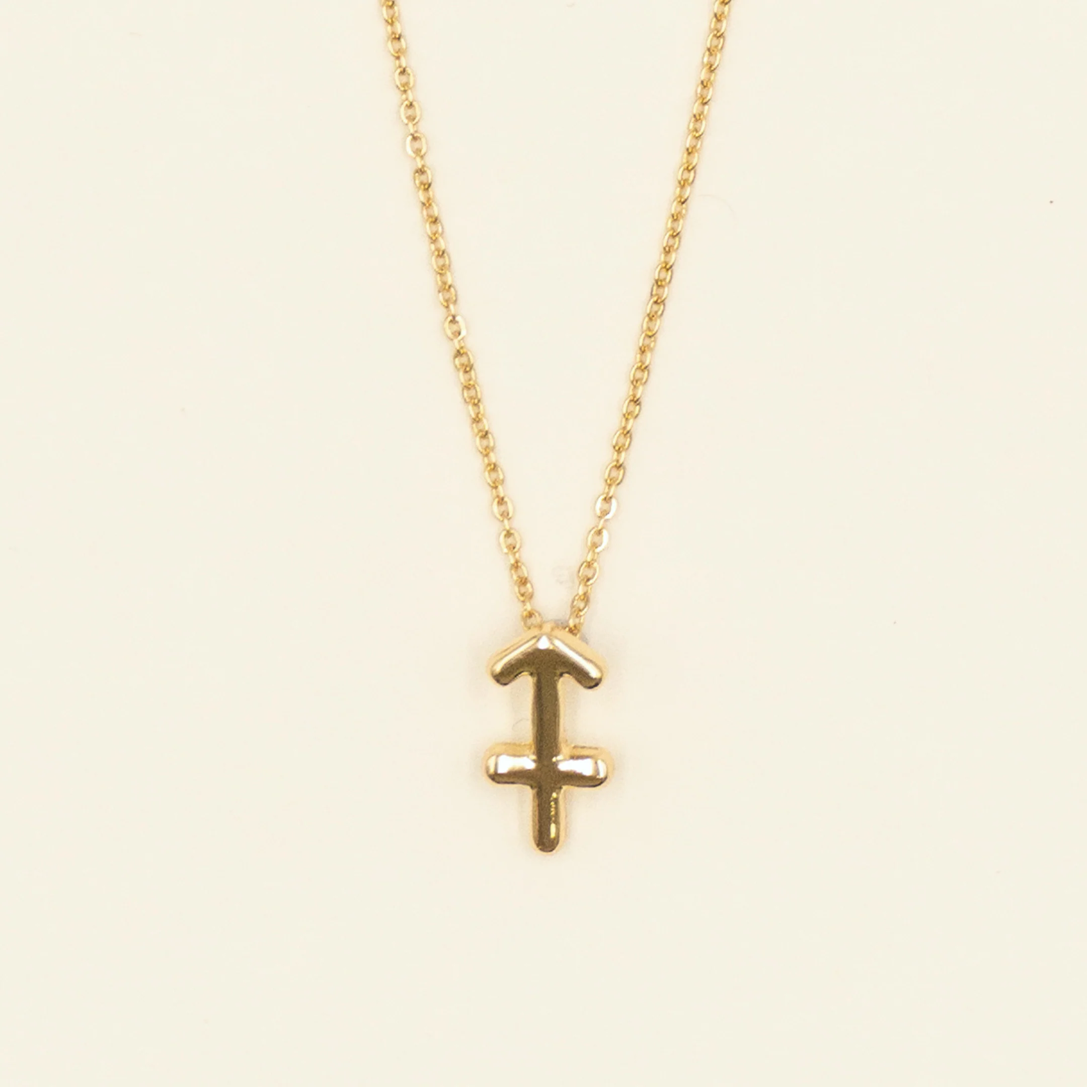 Small Zodiac Sign Necklace - Image 11