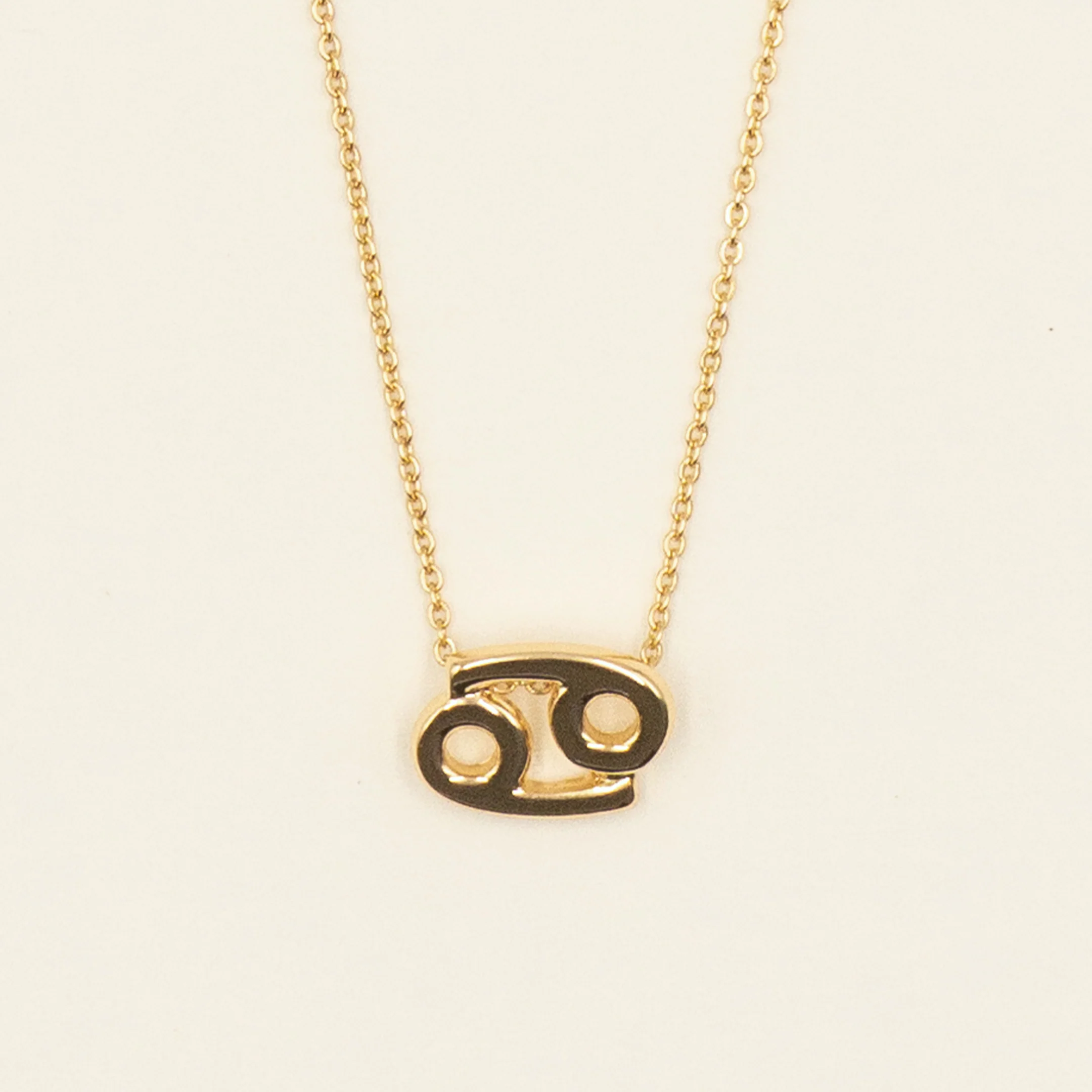 Small Zodiac Sign Necklace - Image 5