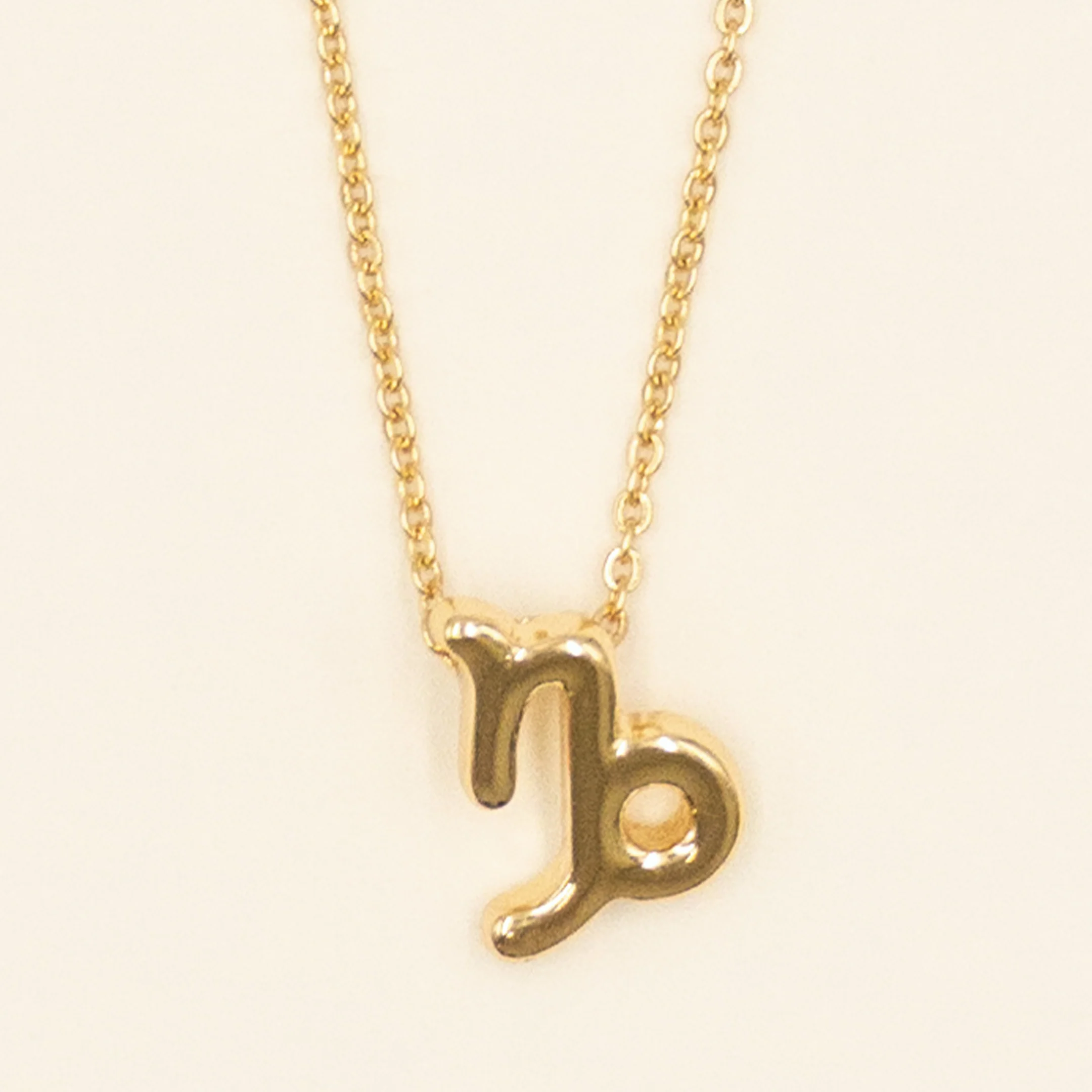 Small Zodiac Sign Necklace - Image 6